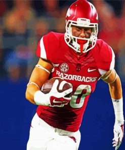 Player Of Arkansas Razorbacks paint by numbers