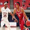 Arkansas Razorbacks Men's Basketball Player paint by numbers