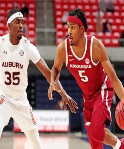 Arkansas Razorbacks Men's Basketball Player paint by numbers
