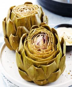 Healthy Artichokes paint by numbers