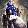 Artorias And White Wolf paint by numbers