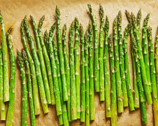 Asparagus Vegetables paint by numbers