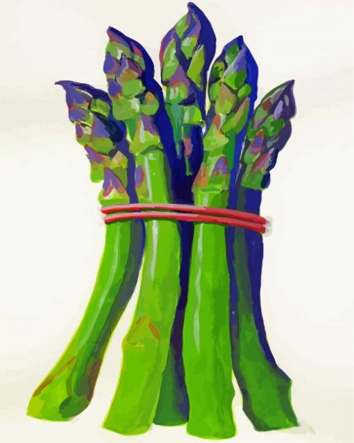 Asparagus Vegetables Art paint by numbers
