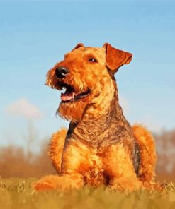 Beautiful Airedale Terrier paint by numbers