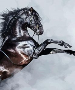 Black Andalusian Horse And Smoke paint by numbers