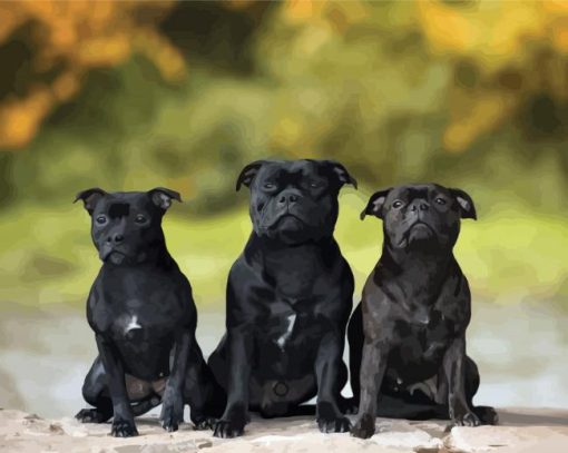 Black Staffordshire Bull Terrier Puppies paint by numbers
