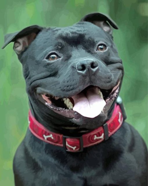 Cute Staffordshire Bull Terrier Smiling paint by numbers