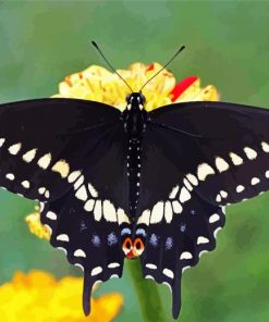 Black Eastern Tiger Swallowtail paint by numbers