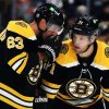 Boston Bruins Hockey paint by numbers