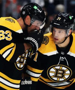 Boston Bruins Hockey paint by numbers