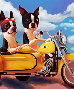 Boston Terrier Riding A Motorcycle paint by numbers