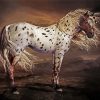 Aesthetic Appaloosa Horse paint by numbers