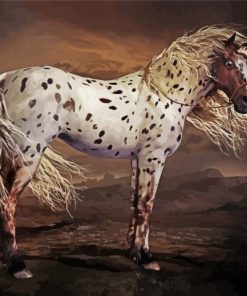 Aesthetic Appaloosa Horse paint by numbers