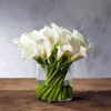 Calla Lilies In Glass Vase paint by numbers