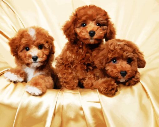 Adorable Cavoodle Puppies paint by numbers