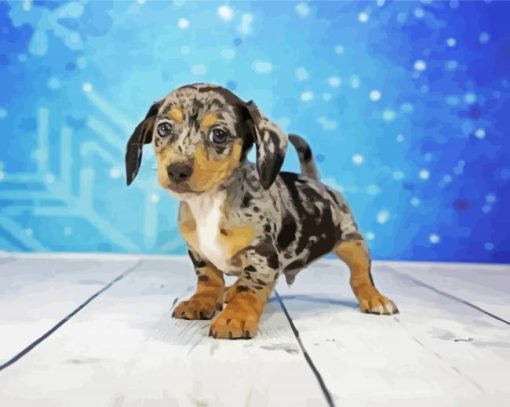 Cute Chiweenie Puppy paint by numbers