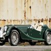 Classic Green Morgan paint by numbers