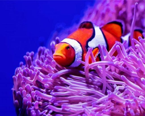 Clownfish Between Anemones paint by numbers