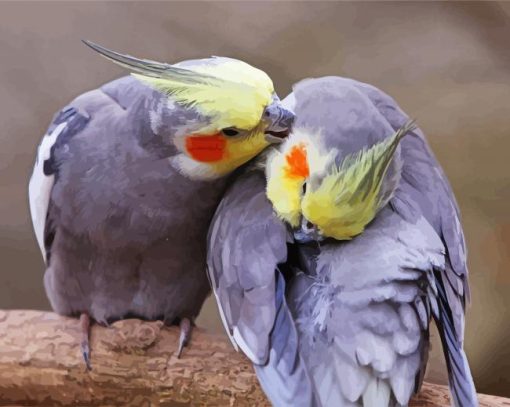 Cockatiel Couple paint byh numbers