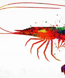Colorful Shrimp paint by numbers