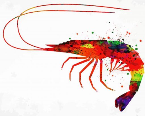 Colorful Shrimp paint by numbers