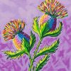 Colorful Thistle Flower paint numbers