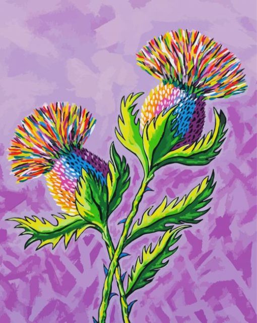 Colorful Thistle Flower paint numbers