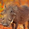 Common Warthog paint by numbers