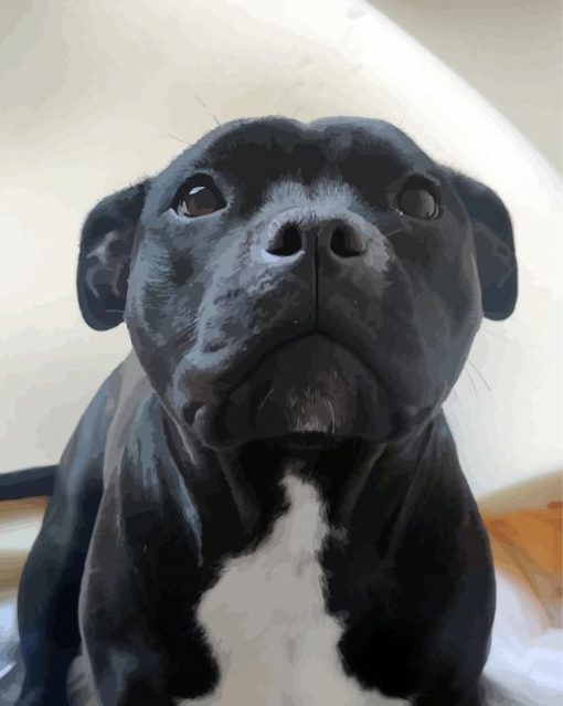 Cute Staffordshire Bull Terrier Dog paint by numbers