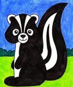 Black And White Skunk paint by numbers