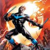 Powerful Nightwing Character paint by numbers