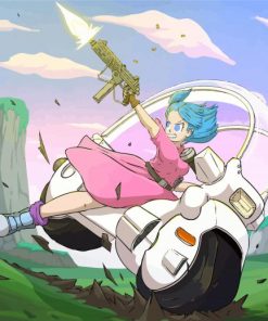 Bulma Character paint by numbers