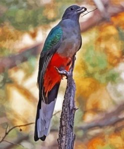 Aesthetic Eared Quetzal Bird paint by numbers