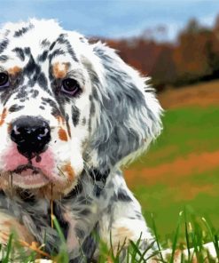 Cute English Setter Puppy paint by numbers