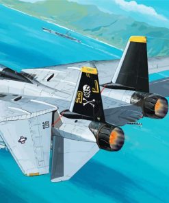 F 14 Tomcat Aircraft paint by numbers