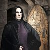 Fantasy Severus Snape paint by numbers