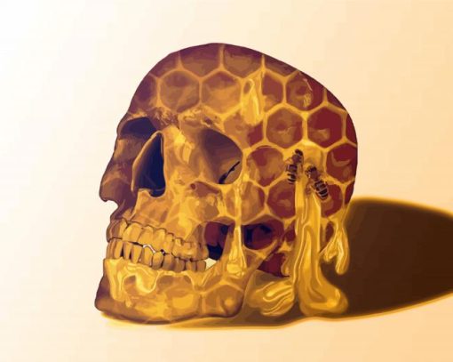 Honey Skull Head paint by numbers