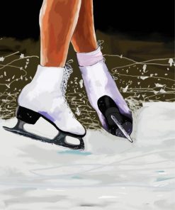 Ice White Skate paint by numbers