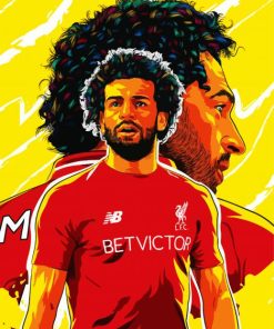 Mohamed Salah Illustration paint by numbers