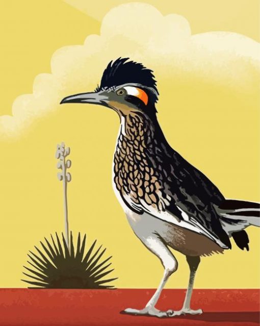 Illustration Roadrunner paint by numbers