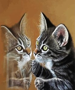 Cute Kitten Reflection paint by numbers