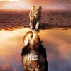 Lion Cub Reflection paint by numbers