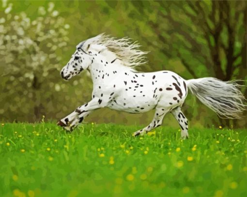 Little Appaloosa Running paint by numbers