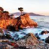The Aesthetic Lone Cypress paint by numbers