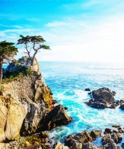 Lone Cypress Seascape paint by numbers
