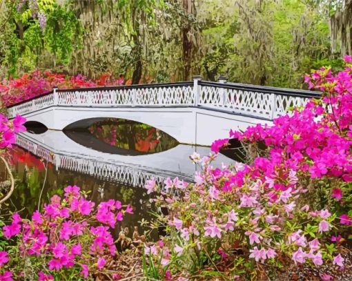 Magnolia Plantation And Gardens paint by numbers