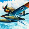 Military Seaplane paint by numbers