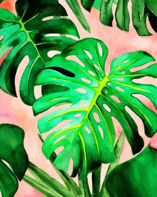 Monstera Green Leaves paint by numbers