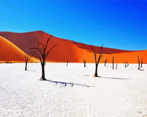 Namibia Desert paint by numbers