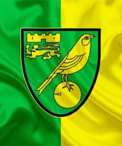 Norwich City Football Club paint by numbers
